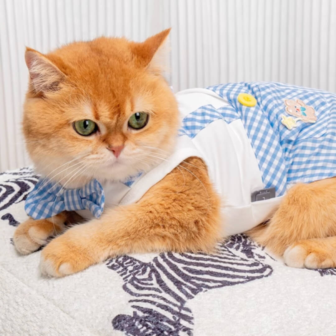 Cat in Blue Check Vest | MissyMoMo