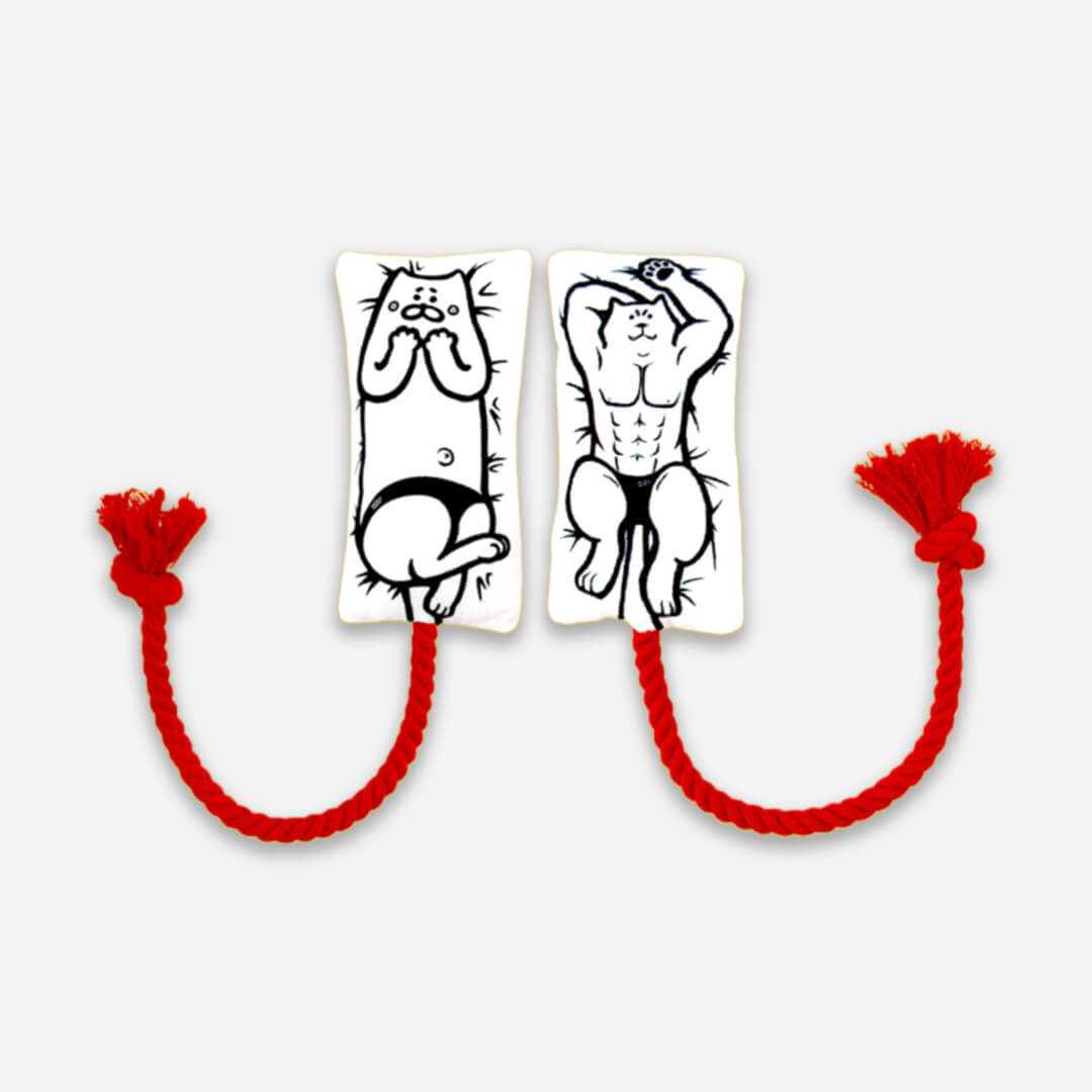 Power Paws Chew & Tug Pillow Toys | Cat Toys | MissyMoMo