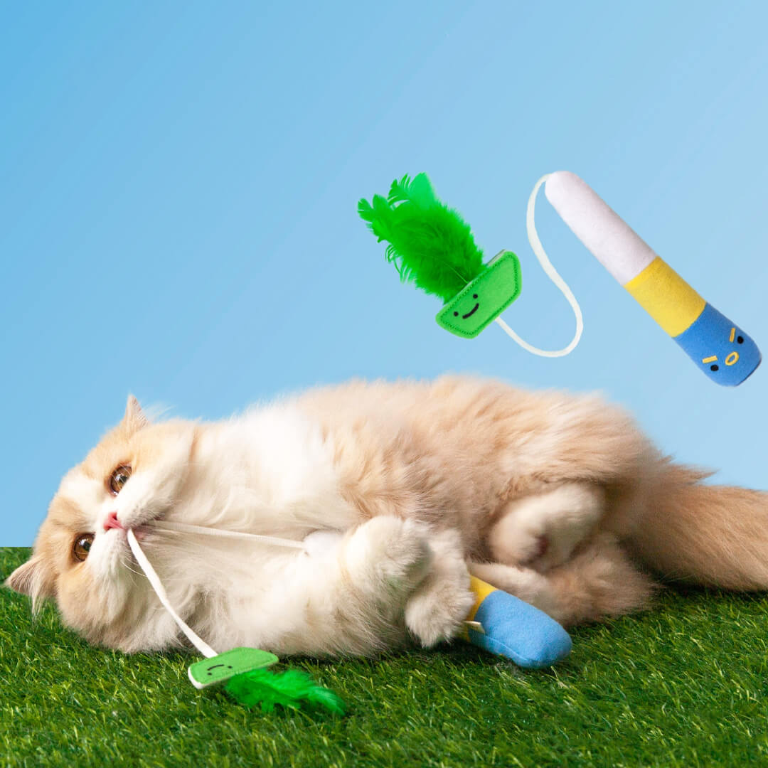 Cat Playing with Pufferfish Fishing Teaser Set | Cat Toys | MissyMoMo