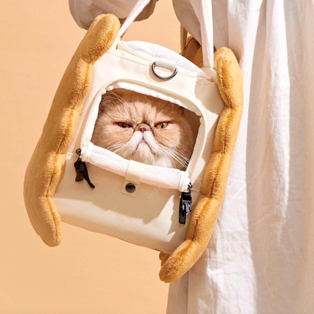 PurLab Cookie Cat Carrier | Stylish Brown Cat Bag | MissyMoMo