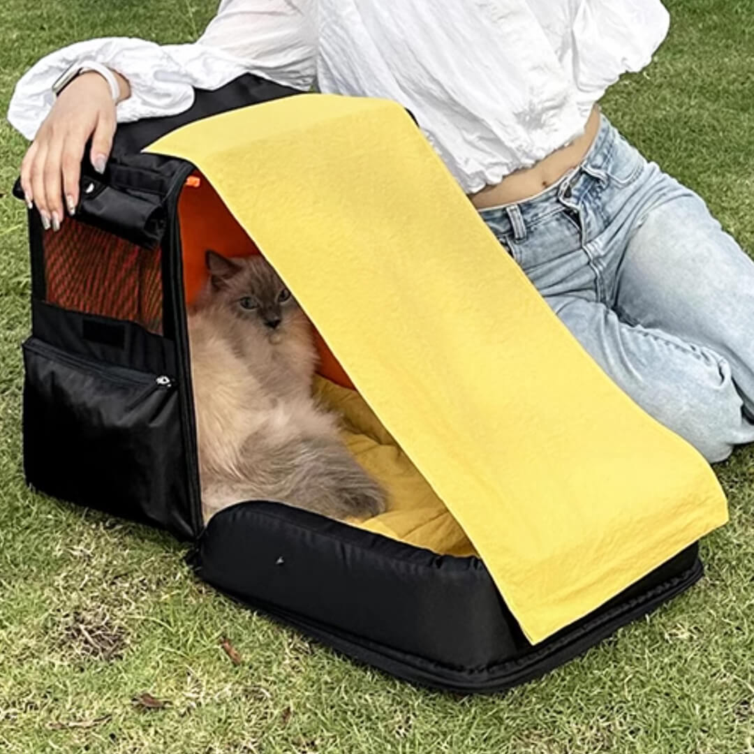 Cat Relaxing in Black Cat Backpack with Foldable Sunshade | MissyMoMo