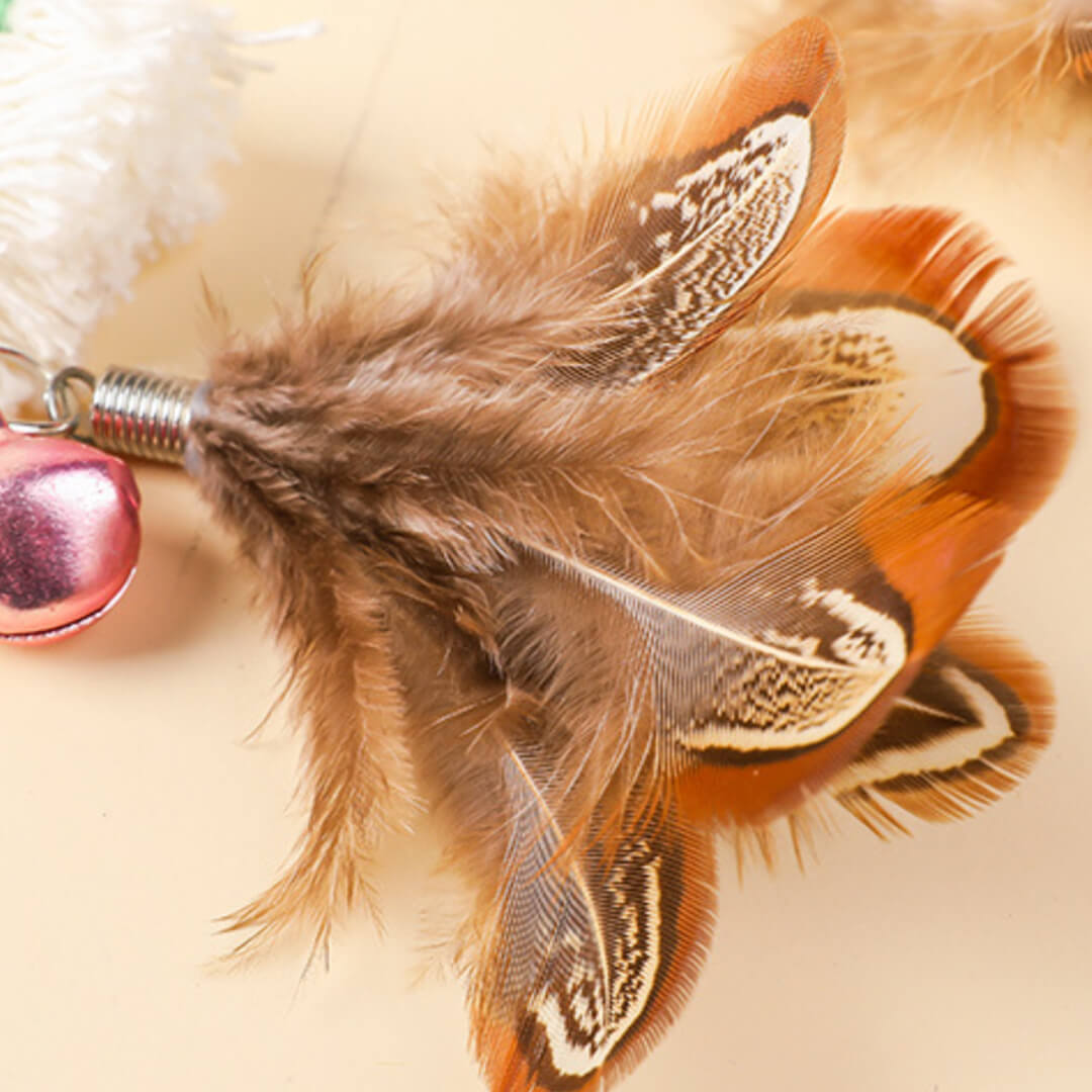 Rainbow Feather Cat Toy | Interactive Cat Toys | MissyMoMo