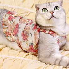 Load image into Gallery viewer, Cat in Red Floral Print Dress | MissyMoMo
