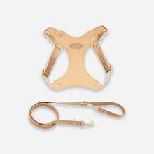 Load image into Gallery viewer, Rio Cat Harness &amp; Leash Set in Tan Leather | MissyMoMo
