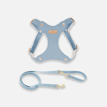 Load image into Gallery viewer, Rio Cat Harness &amp; Leash Set in Blue Leather | MissyMoMo
