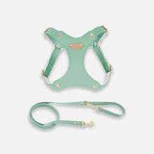 Load image into Gallery viewer, Rio Cat Harness &amp; Leash Set in Green Leather | MissyMoMo
