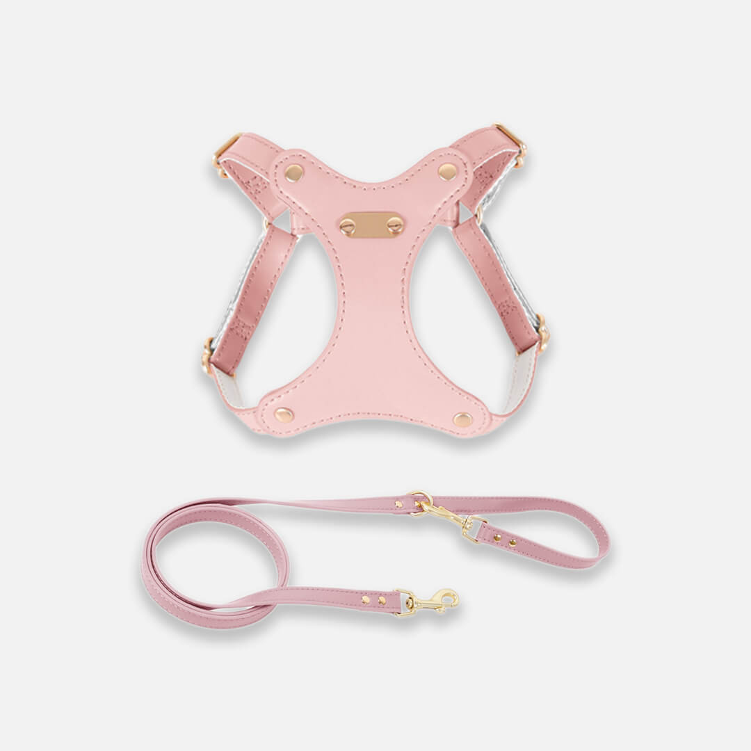 Rio Cat Harness & Leash Set in Pink Leather | MissyMoMo
