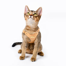 Load image into Gallery viewer, Cat Wearing Rio Cat Harness in Tan | MissyMoMo
