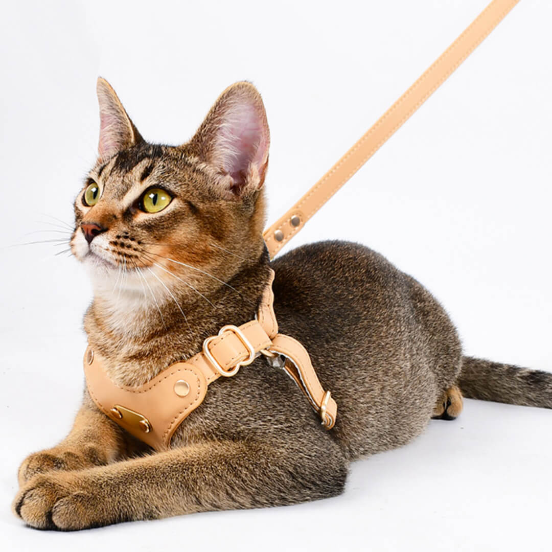 Cat in Waterproof Leather Cat Harness | MissyMoMo