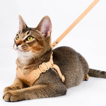 Load image into Gallery viewer, Cat in Waterproof Leather Cat Harness | MissyMoMo
