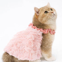 Load image into Gallery viewer, Pink Rose Cat Dress On Cat | Floral Rose Cat Dress | MissyMoMo
