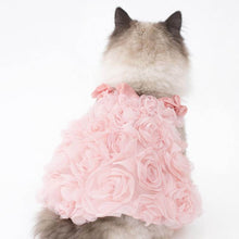 Load image into Gallery viewer, Pink Rose Cat Dress On Cat | Ruffled Rose Cat Dress | MissyMoMo
