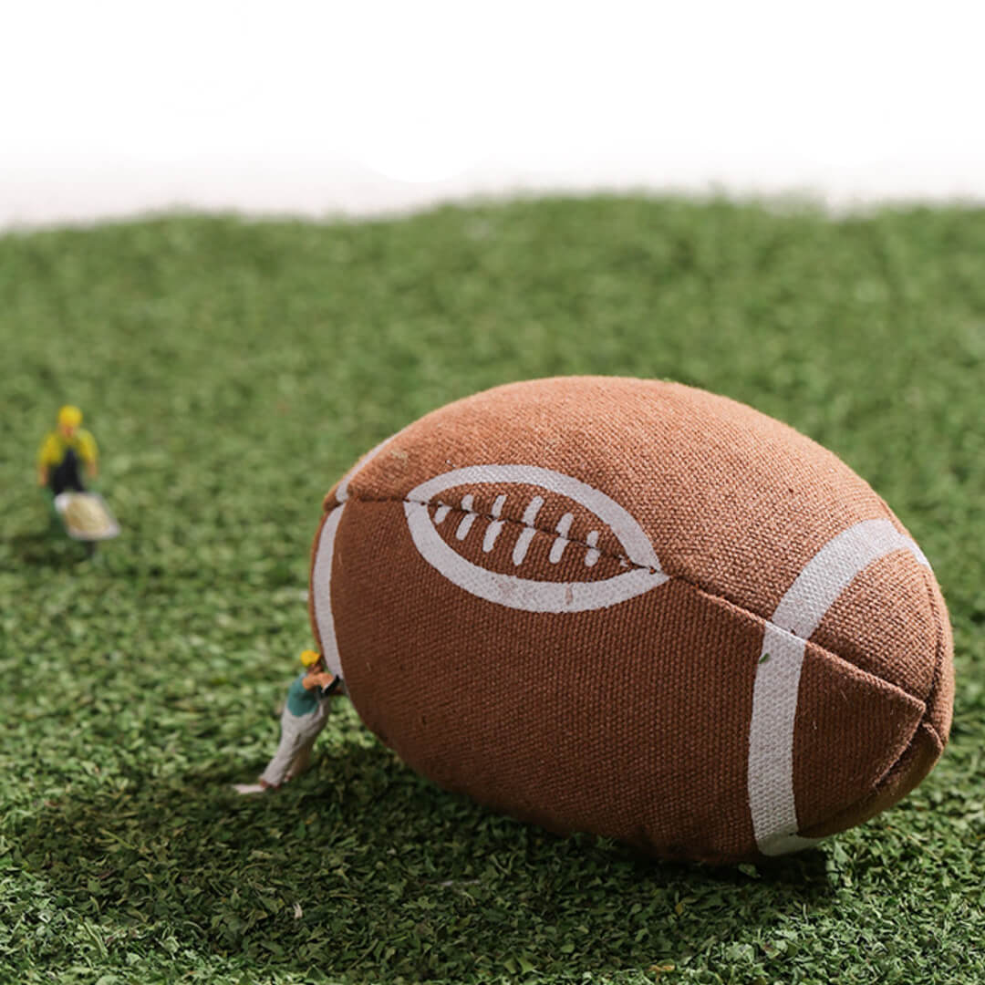 Rugby Catnip Toy | Ball Toys for Cats | MissyMoMo