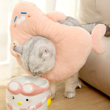 Load image into Gallery viewer, Seal Elizabethan Collar for Cats | Cat with Comfy E Collar | MissyMoMo
