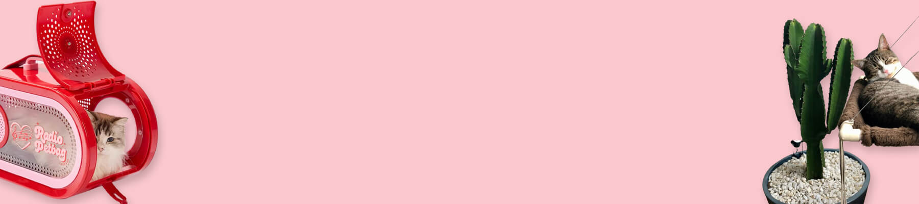 Small Cat Carrier Collection