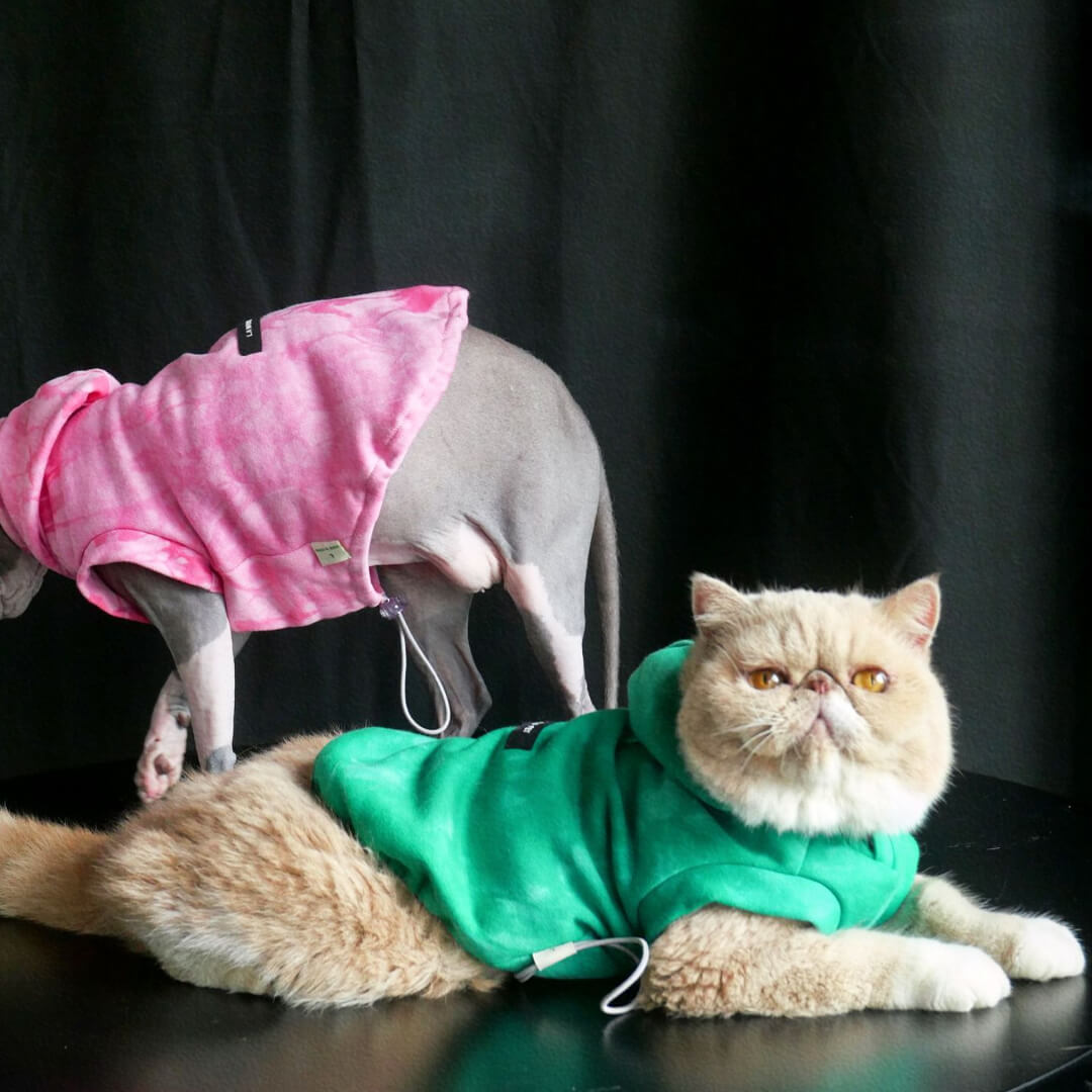 Cats in Tie Dye Hoodies | MissyMoMo