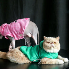 Load image into Gallery viewer, Cats in Tie Dye Hoodies | MissyMoMo
