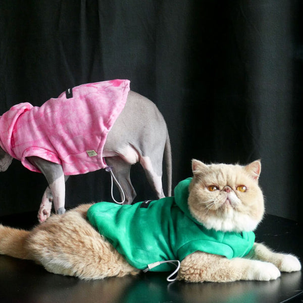 Cats in Tie Dye Hoodies | MissyMoMo