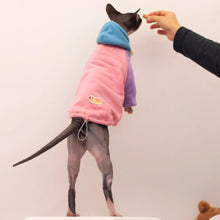 Load image into Gallery viewer, Stylish Hoodie for Sphynx Cats | MissyMoMo
