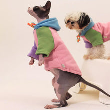 Load image into Gallery viewer, Stylish Hoodie for Sphynx Cats | MissyMoMo
