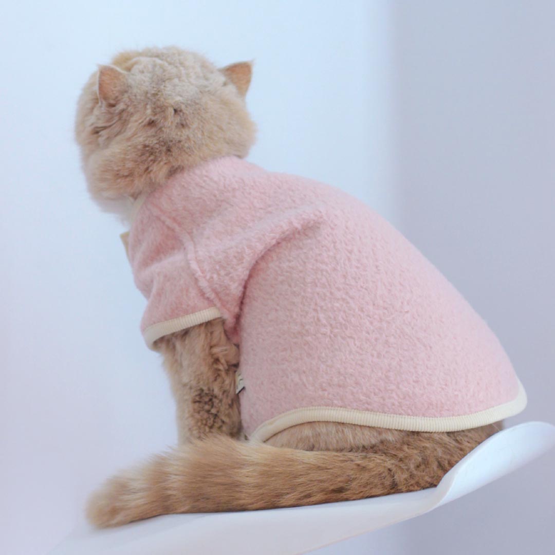 MoMo Cat Vest | Cat with Clothes | MissyMoMo