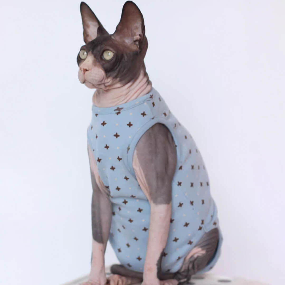 Sphynx Cat in Stylish Blue Dungarees | MissyMoMo