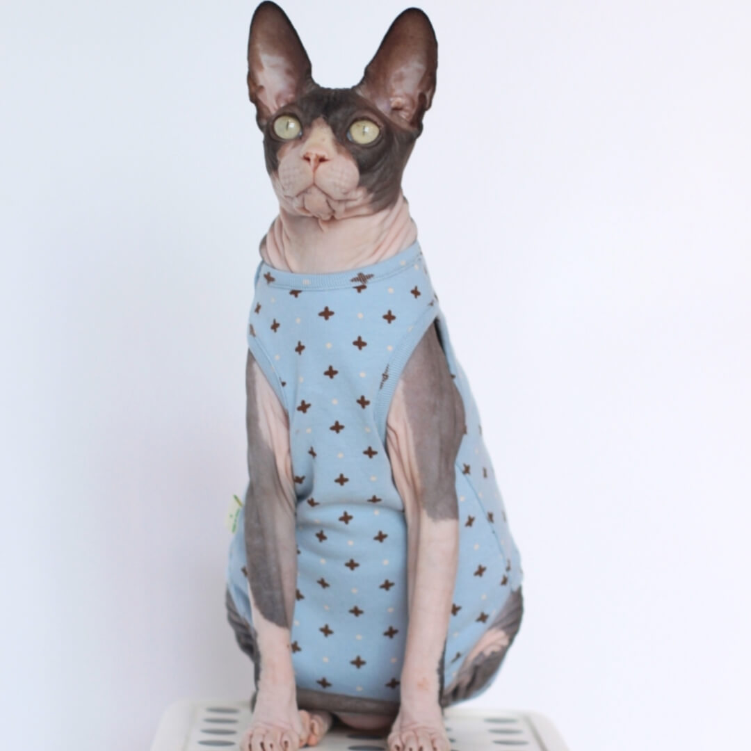 Sphynx Cat in Stylish Blue Dungarees | MissyMoMo