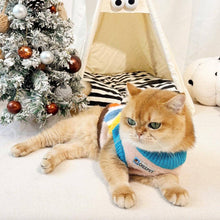 Load image into Gallery viewer, Cat Wearing Colorful Stripe Cat Sweater | Knit Cat Clothing | MissyMoMo
