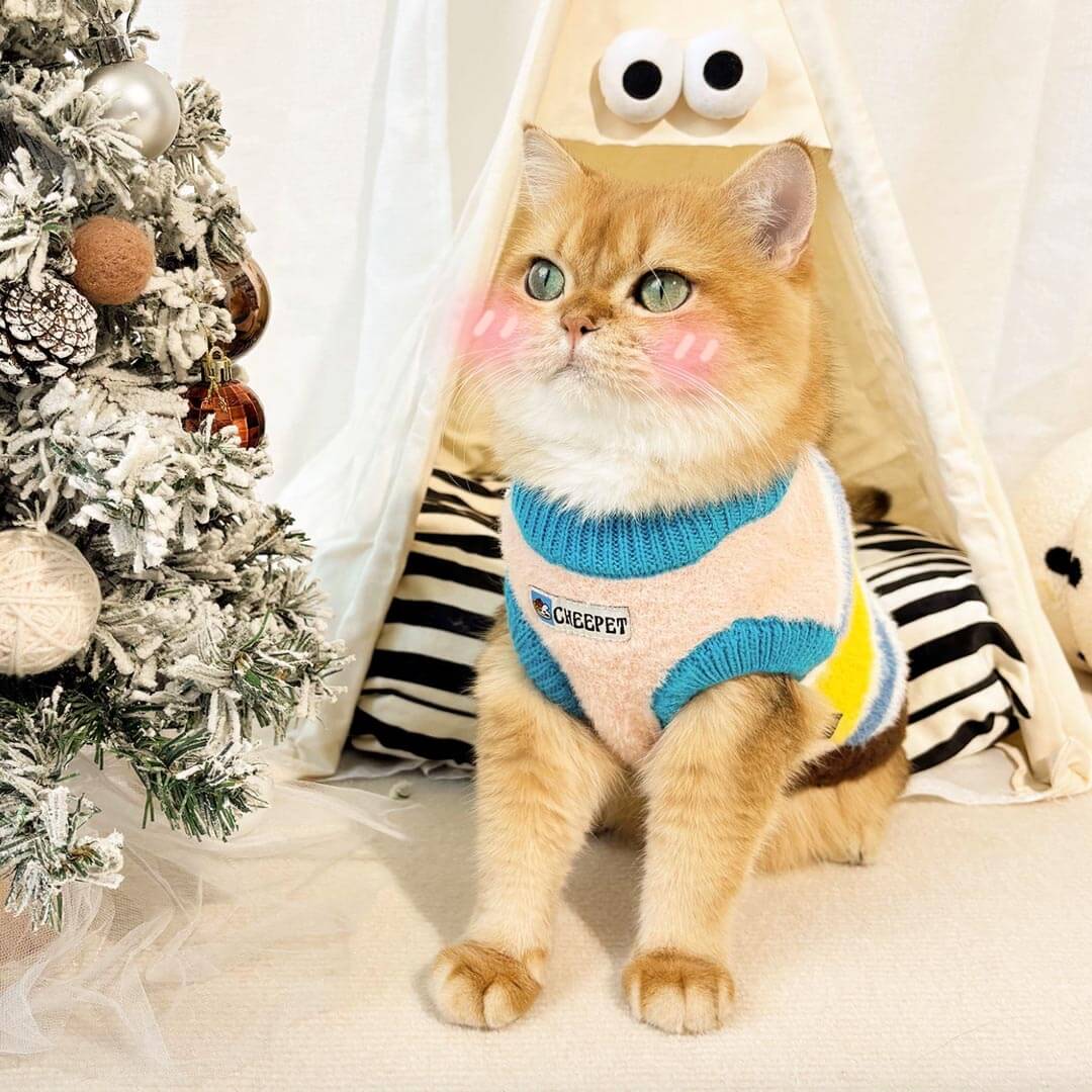 Cat In Rainbow Stripe Sweater | Soft Knit Cat Clothes | MissyMoMo