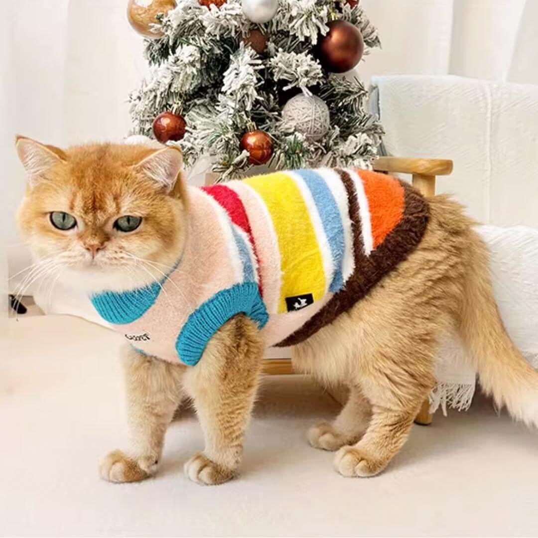 Cat Wearing Rainbow Stripe Sweater | Colorful Cat Apparel | MissyMoMo