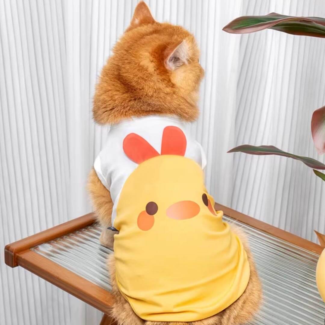 Yellow Chicken Cat Vest On Ginger Cat | Cute Cat Summer Outfit | MissyMoMo