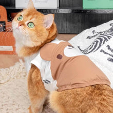 Load image into Gallery viewer, Brown Teddy Bear Cat Vest On Cat Looking Up | Cute Cat Apparel | MissyMoMo
