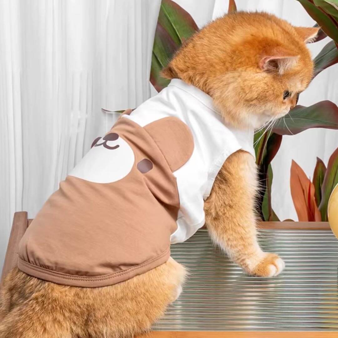 Brown Teddy Bear Cat Vest On Cat | Cat Summer Vest | MissyMoMo