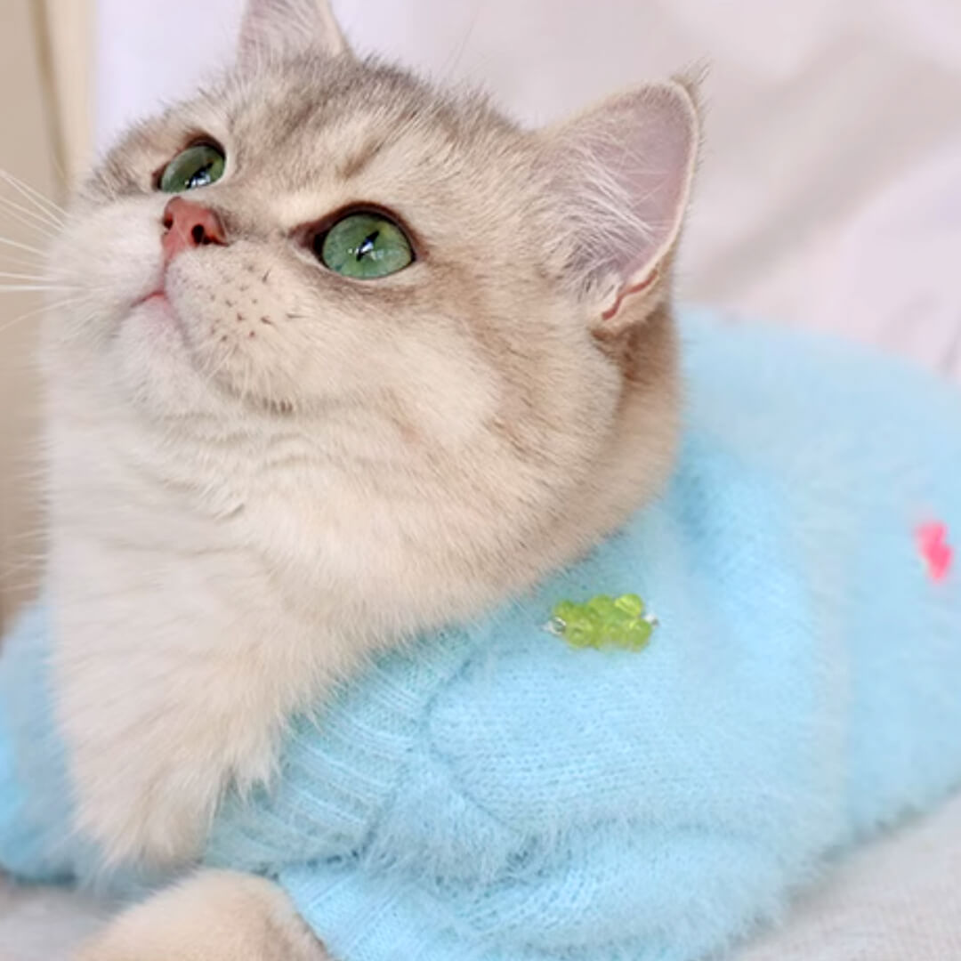 Cat in Blue Faux Mink Jelly Bear Cardigan | MissyMoMo