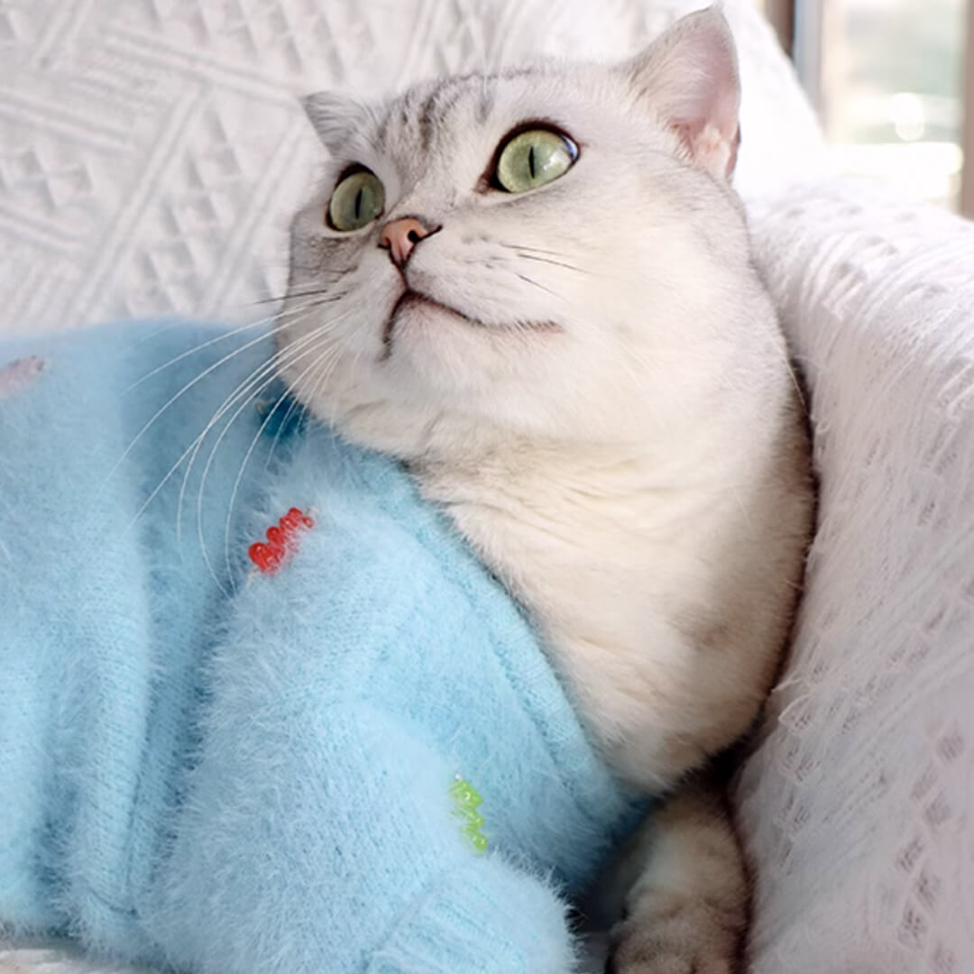 Cat in Blue Faux Mink Jelly Bear Cardigan | MissyMoMo