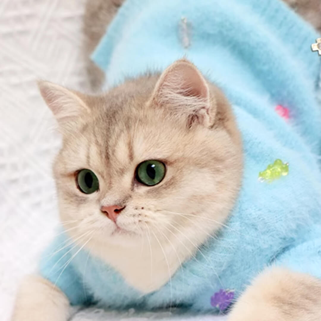 Cat in Blue Faux Mink Jelly Bear Cardigan | MissyMoMo