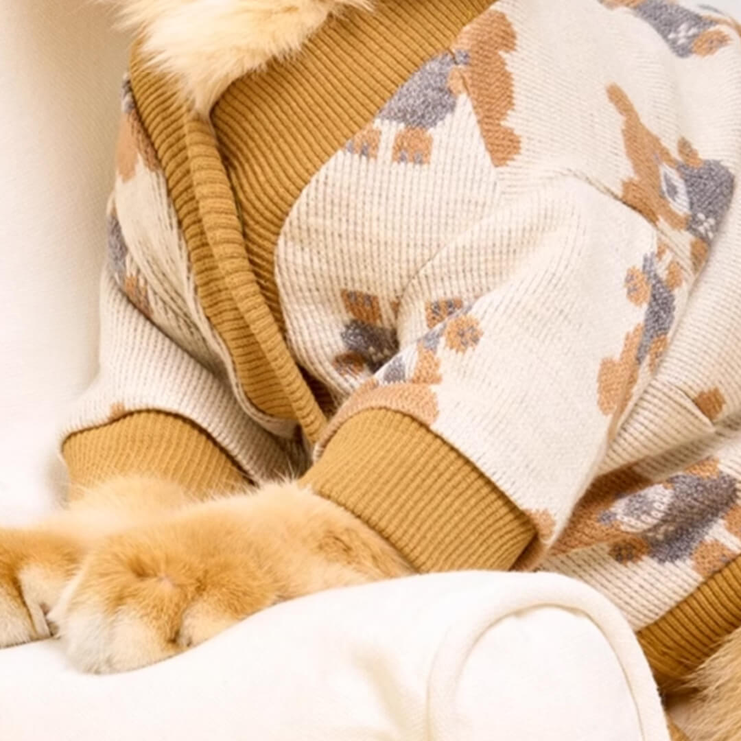 Teddy Cat Cardigan | Cute Cardigan for Cats | MissyMoMo