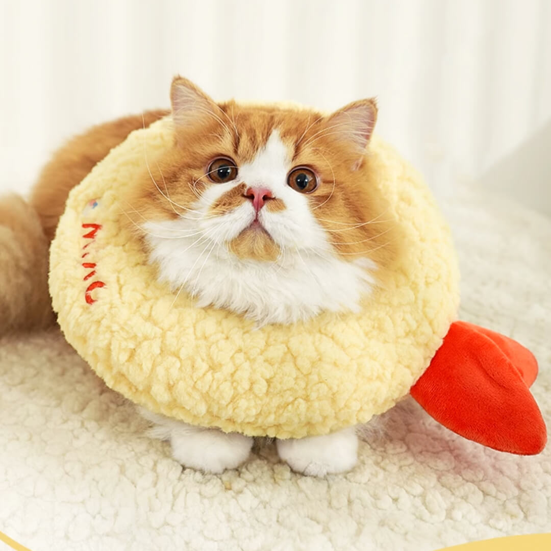 Cat in Tempura Recovery E Collar | MissyMoMo