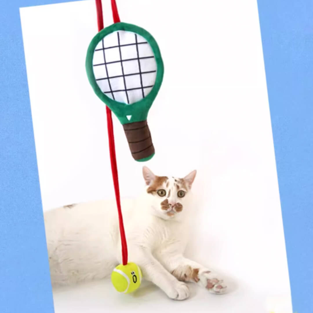 Cat Playing with Tennis Bungee Teaser Wand | Cat Toys | MissyMoMo