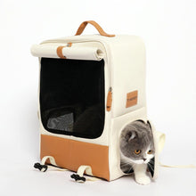 Load image into Gallery viewer, Cat Exiting the Tinypet Cat Backpack Through the Side Door | MissyMoMo
