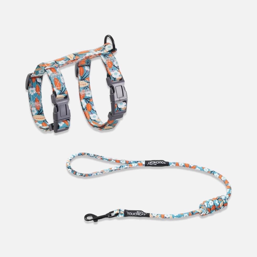 TouchCat  Cat Harness & Leash Set for Walking | H-Style Cat Harness | MissyMoMo
