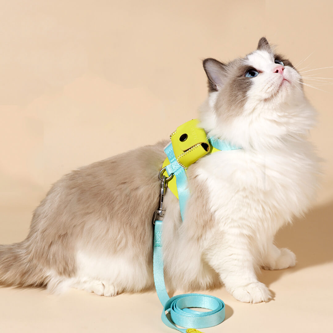 Cat in Turquoise H-Style Harness with a Mini Bag | MissyMoMo