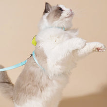 Load image into Gallery viewer, Cat in Turquoise H-Style Harness with a Mini Bag | MissyMoMo
