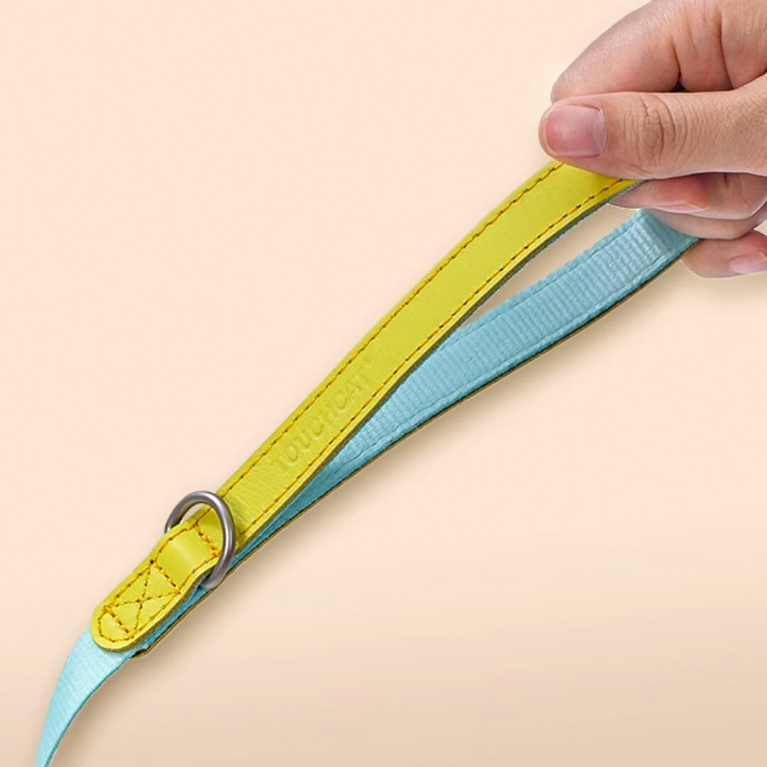 Sturdy & Comfy Handle of an H-style Cat Harness | MissyMoMo