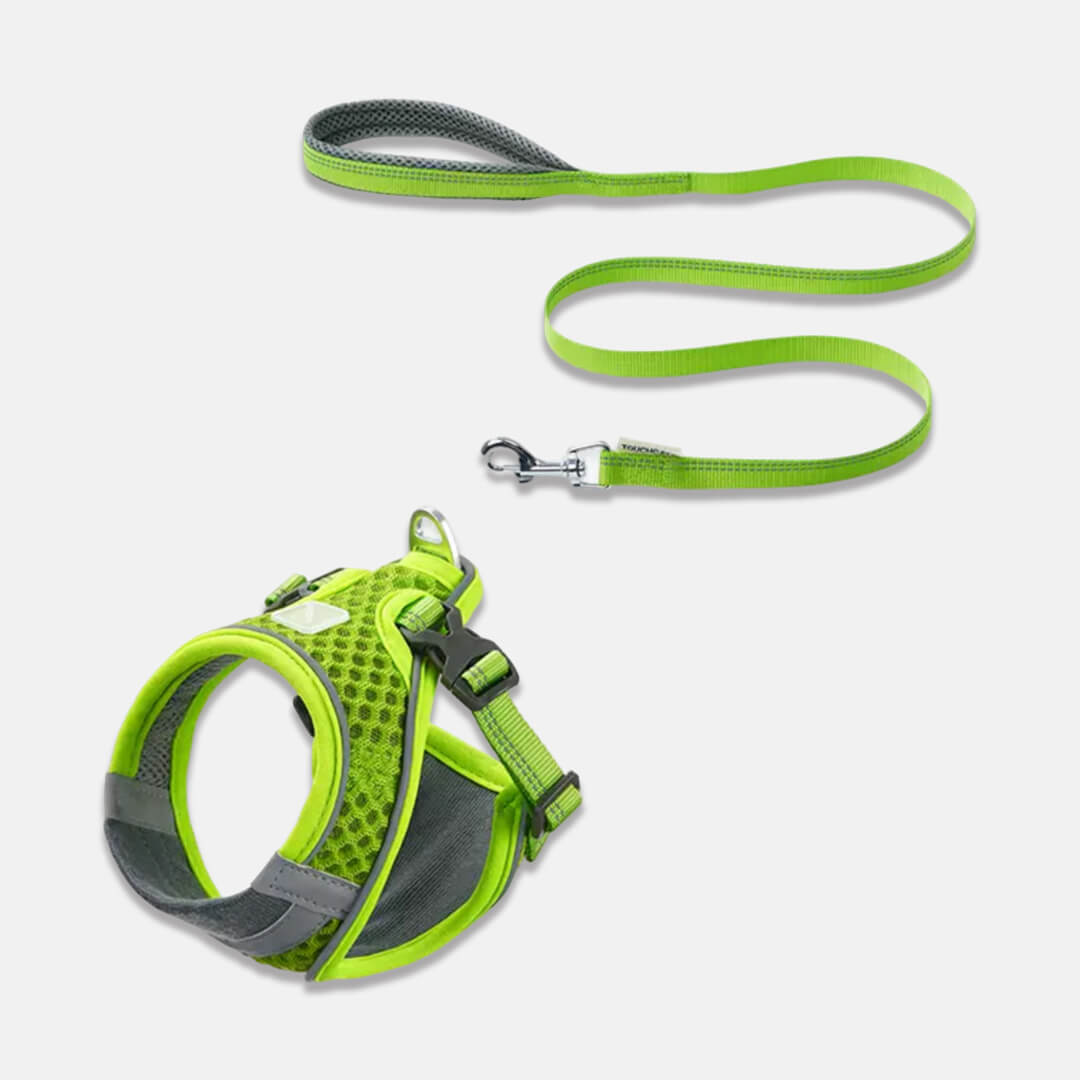 Neon Green Mesh Vest Cat Harness & Leash Set | MissyMoMo