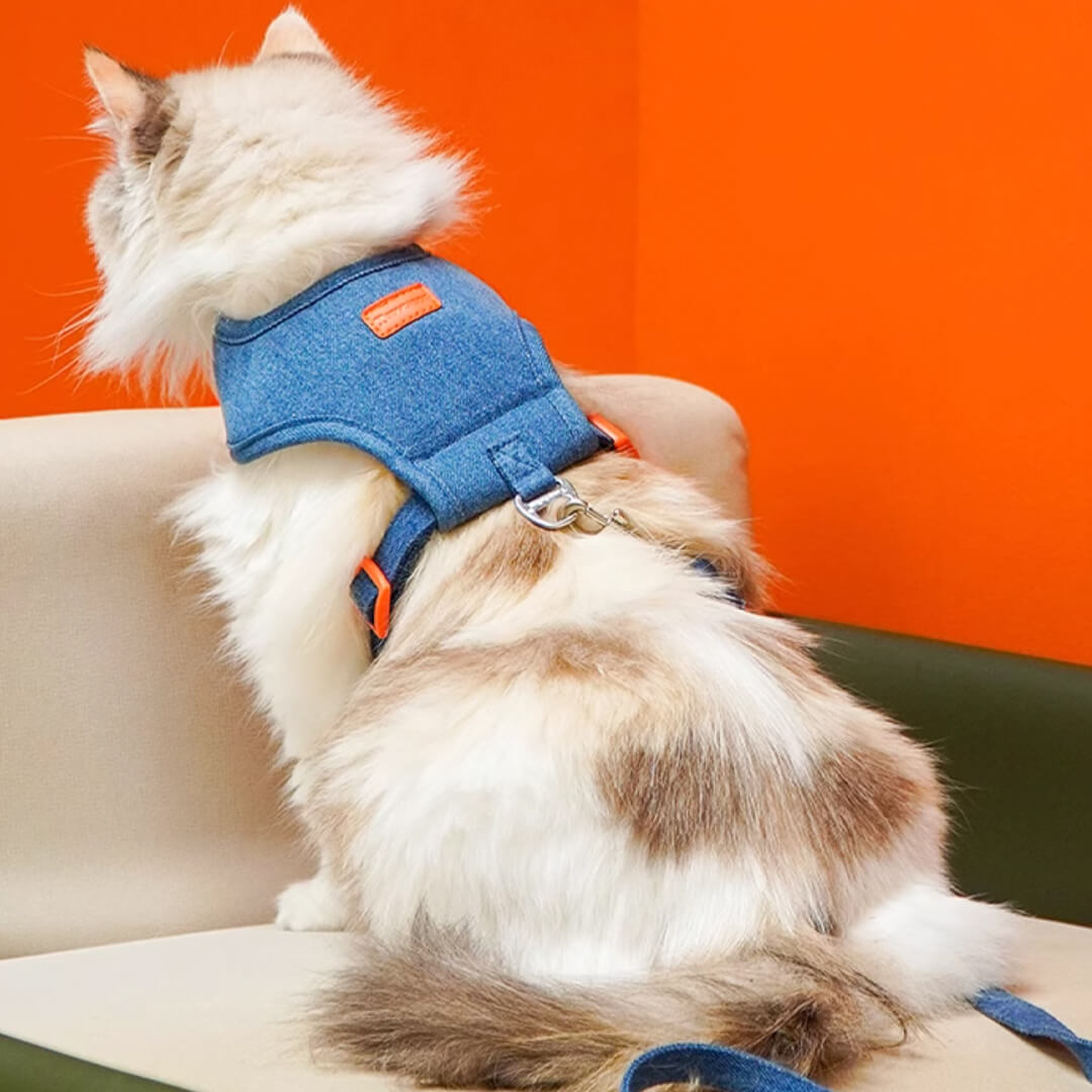 Cat in Denim Cat Harness | MissyMoMo