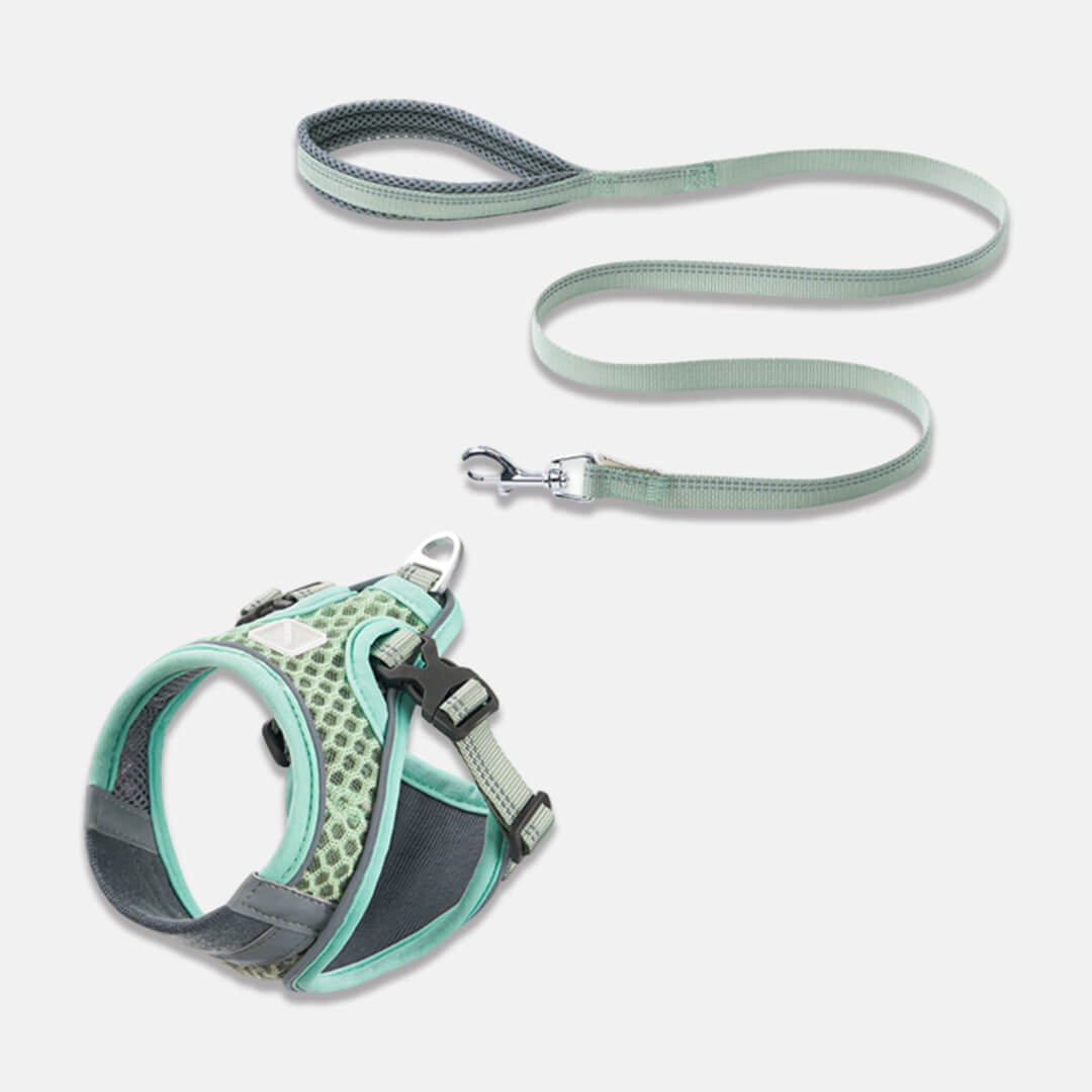 Mint Mesh Vest Cat Harness & Leash Set | MissyMoMo