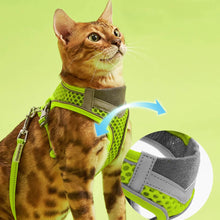 Load image into Gallery viewer, Cat in Neon Green Mesh Cat Vest Harness and Leash | MissyMoMo
