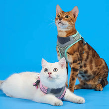 Load image into Gallery viewer, Cats in Mesh Cat Vest Harnesses | MissyMoMo
