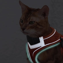 Load image into Gallery viewer, Reflective Trims of Mesh Vest Cat Harness | MissyMoMo
